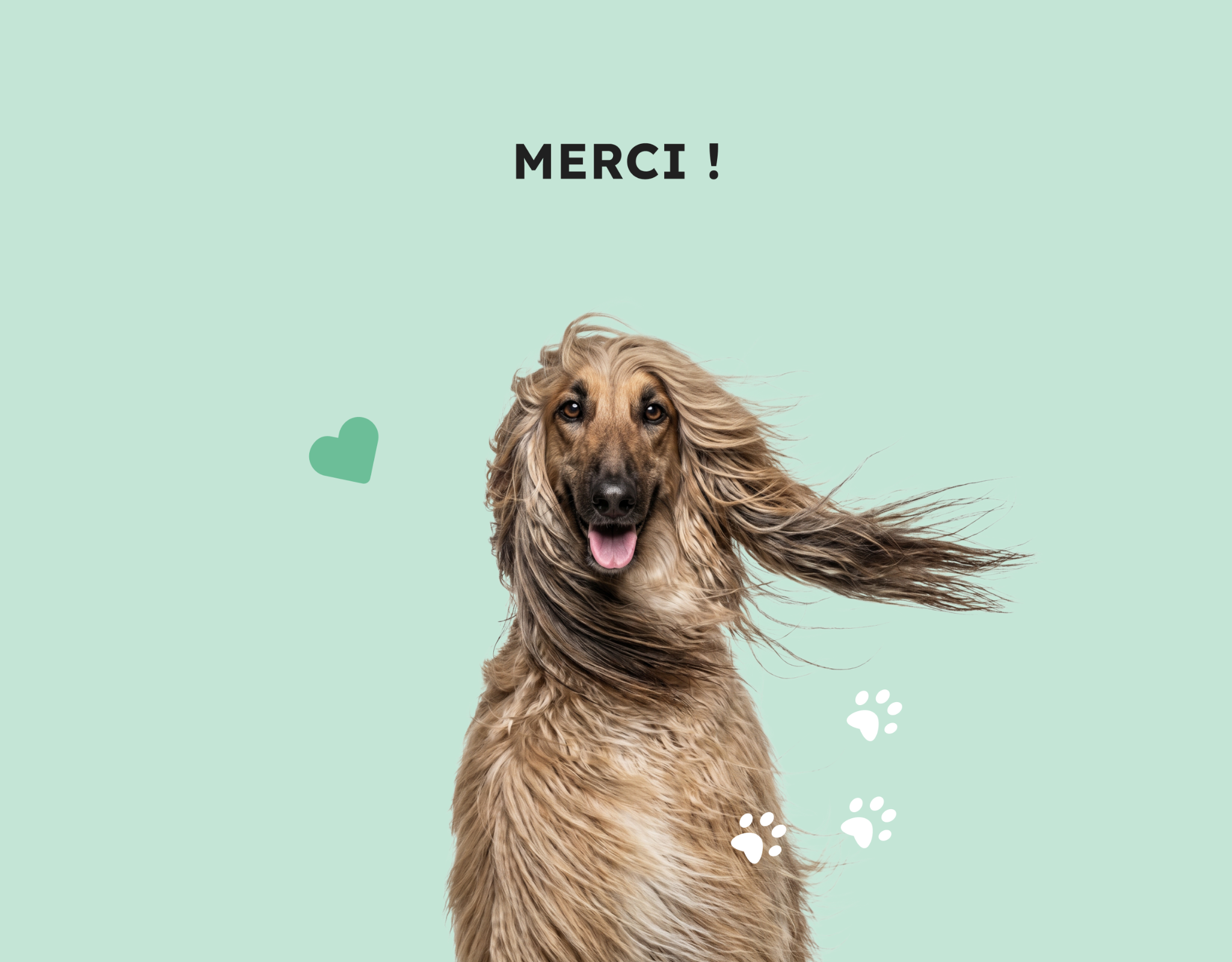 Santévet · Merci