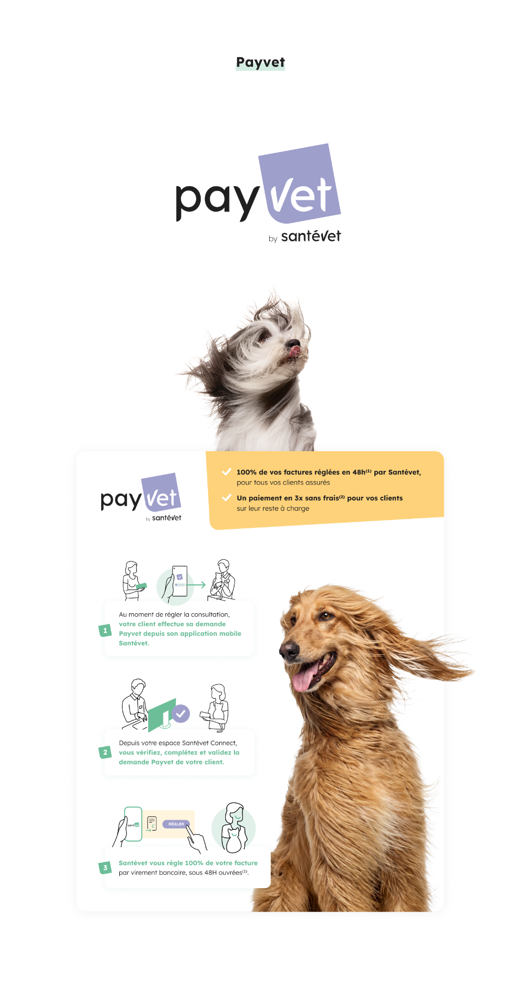 Santévet · Payvet Logo + explications