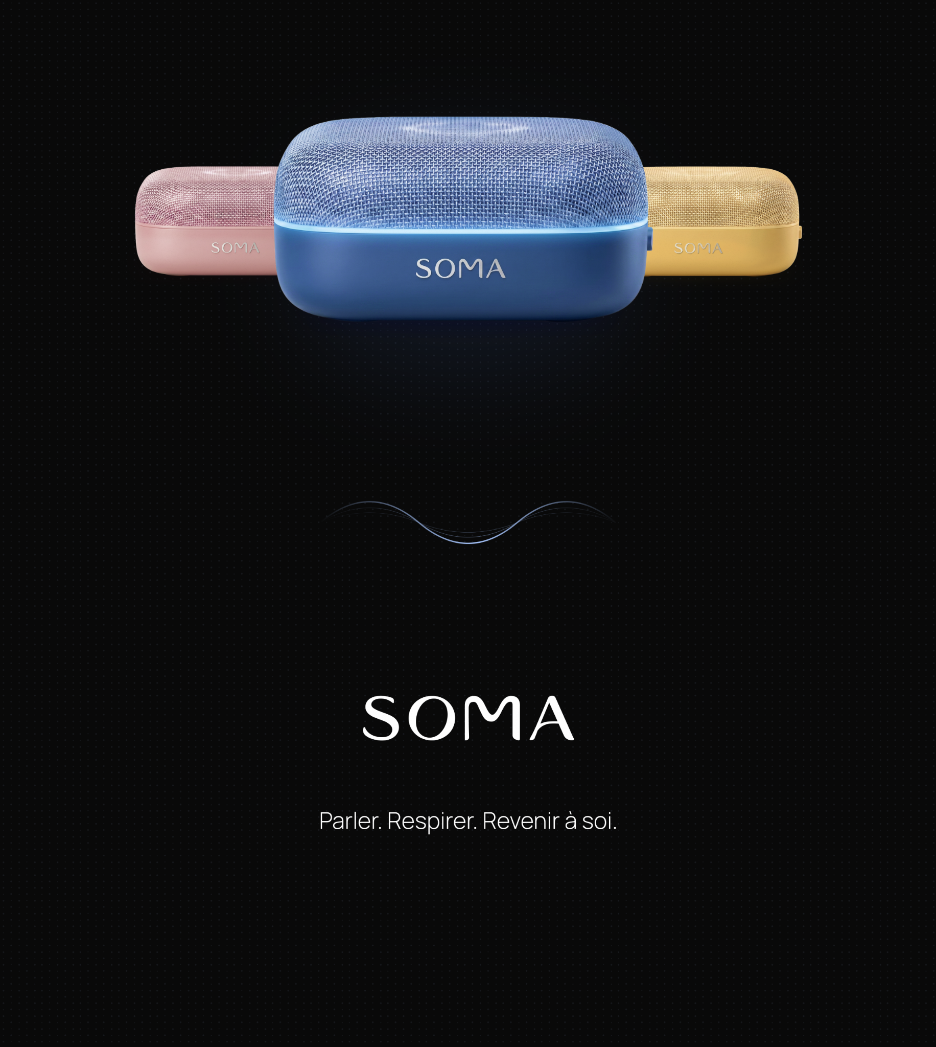 SOMA · Conclusion Soma
