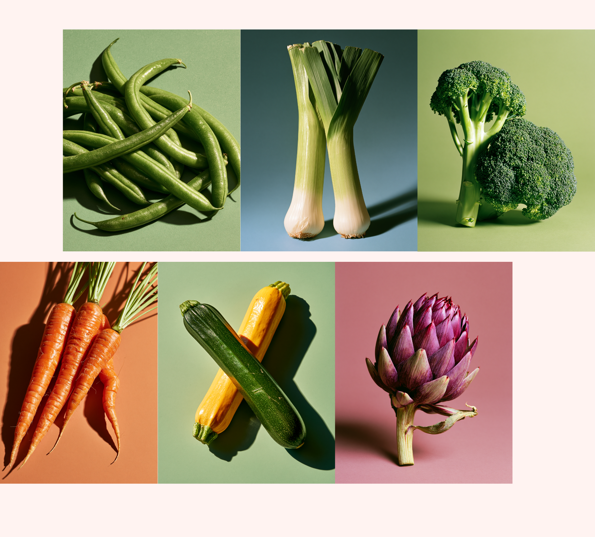 TASTE · FRESH