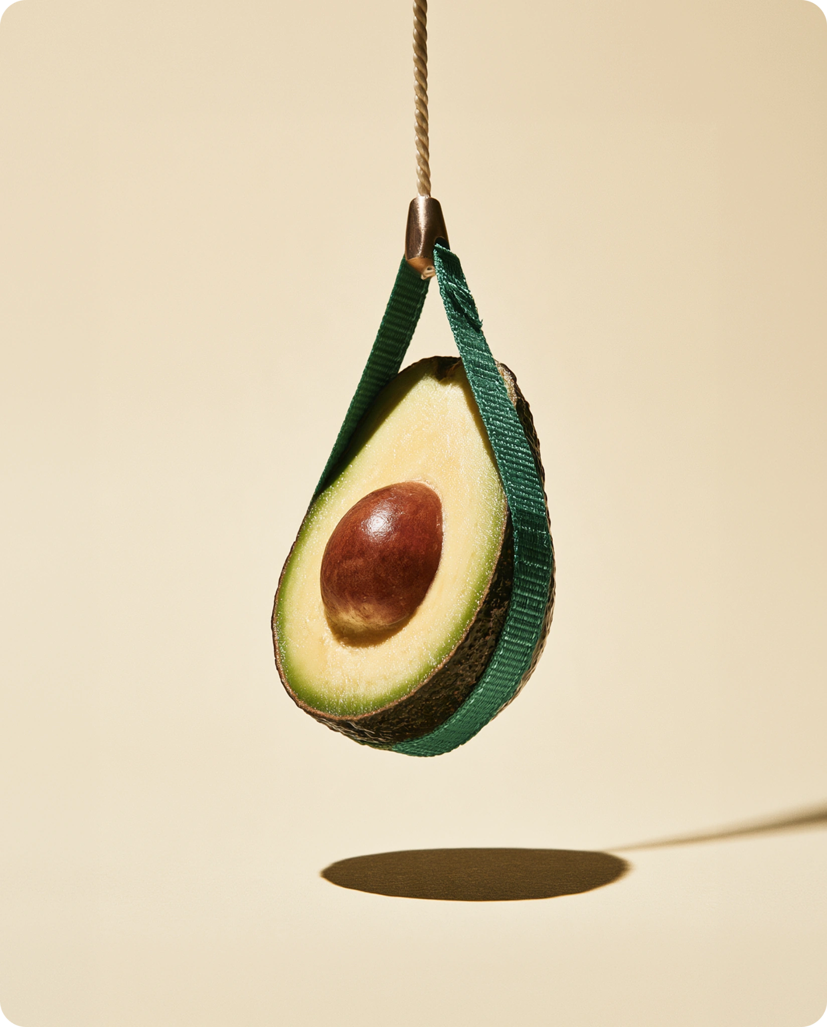 Un avocat suspendu dans un filet vert.